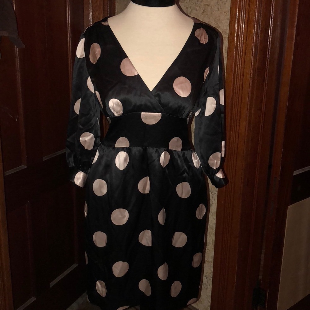 100% Silk Betsey Johnson Dress